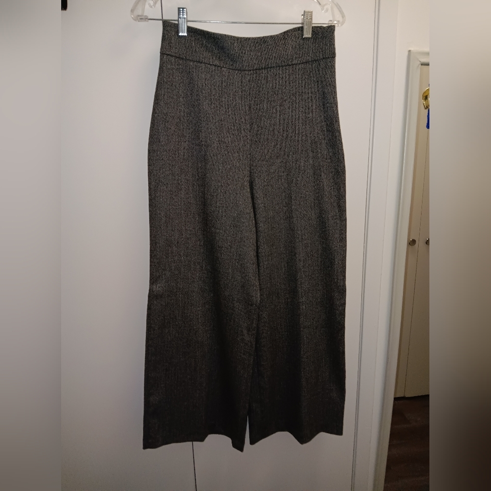 Dress pants